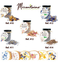 Gamme fleurs séchées